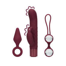 Load image into Gallery viewer, sex-toy-kit-for-her