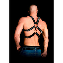 Load image into Gallery viewer, andres-masterpiece-bonded-leather-harness-one-size