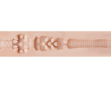 Load image into Gallery viewer, fleshlight-girls-stoya-destroya-textured-male-masturbator
