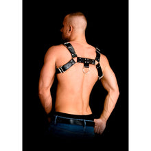 Load image into Gallery viewer, costas-armor-2-bonded-leather-harness-one-size
