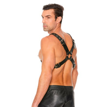 Load image into Gallery viewer, leather-harness-with-large-buckle-one-size
