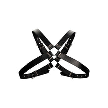 Load image into Gallery viewer, leather-harness-with-large-buckle-one-size
